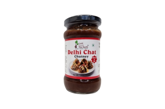Delhi Chat Chutney