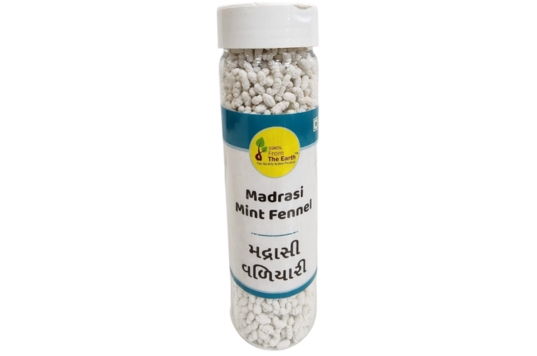 Madrasi Mint Fennel
